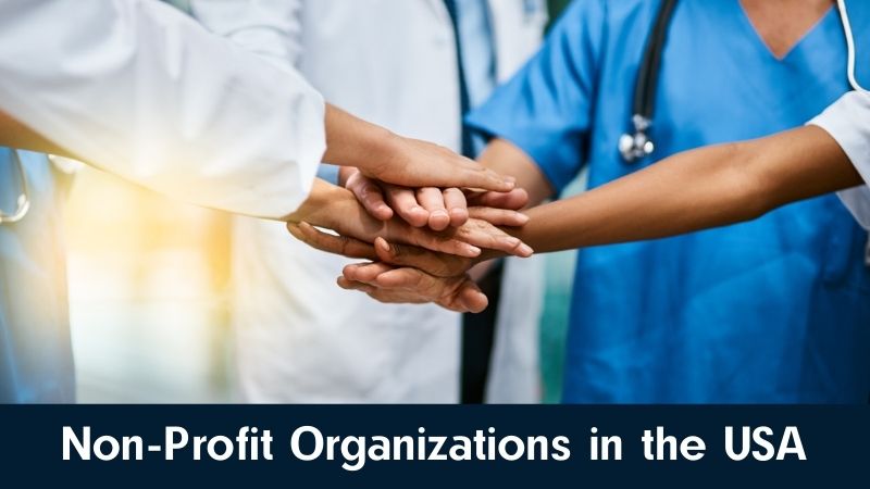 Non-Profit Organizations in the USA